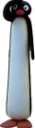 pingu_tall emote