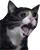 yamero emote