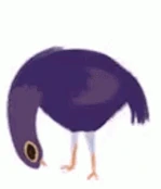 TrashDove emote