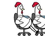 ChickenCONGA emote
