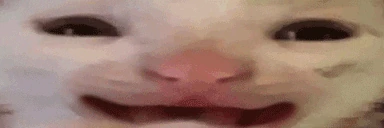 hiiidance emoji
