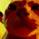 raveCat emote