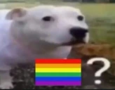 gay emote