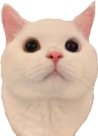 ethan emote