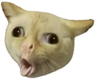 Puke_Cat emote
