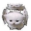 ewube animated emote