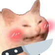 knifecat emote