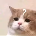 cat_confused emote