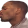 kiss_R emote