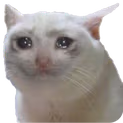 Sad_Cat emote