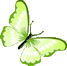 lime_green_butterfly emote