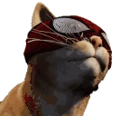 SpiderCatVibe emote