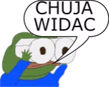 CHUJAWIDAC emote