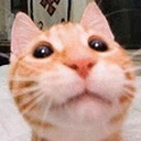 Gvardovskiy emote