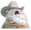 AAAAAAA emote