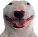 walterSmile emote