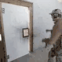 DoorKick animated emote