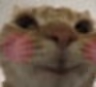 swagblush1 emote