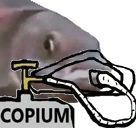 copeFish emote