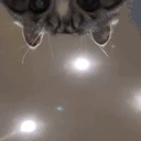 Lurk emote