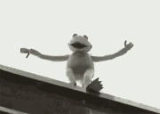 kermitfalling emoji