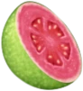 melon_fruit emote