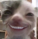 xde static emote
