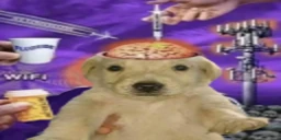 brainrot emote