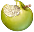 biten_apple emote