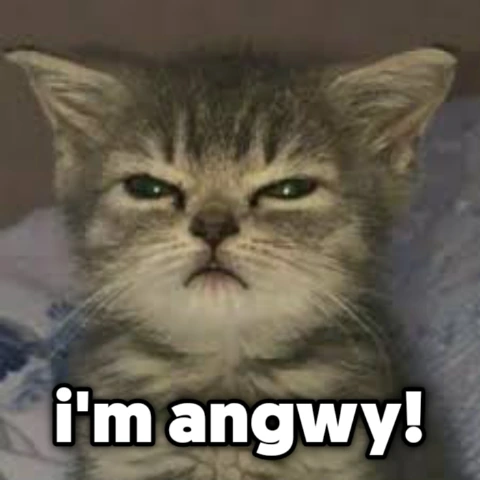 angwy emote