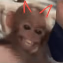 eldiablo emote