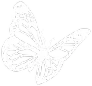 Butterfly emote