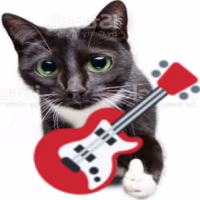 guitarcat emote