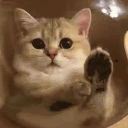 help emote