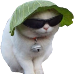 cool_cat emote