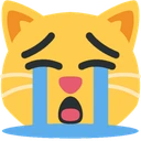 sob_cat emoji