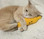 bananuszek emote