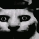 catDespair emote