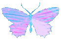 blue_butterfly_holo emote