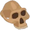 Fossil_Skull emote
