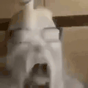 POURMESOMEMILK animated emote