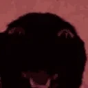 Gullible emote