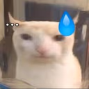 bruhcatsweat emote