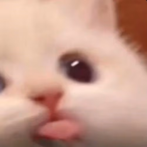 blep emote