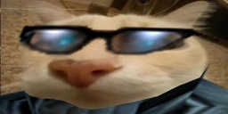 otaugmented emote