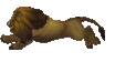 LionRun emote