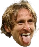 lukamodric_football emote