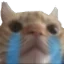 SadCat emote