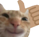 upswag emote
