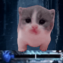 g1 animated emote